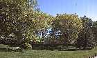 PatioCam Image facing North
