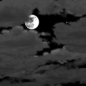 Partly Cloudy