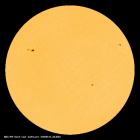 SDO/HMI Continuum Image of the Sun
