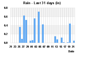 Rainfall Past 31 days
