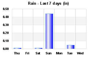 Rain Past 7 days